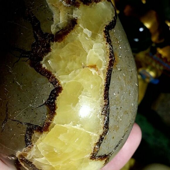 473.4g Septarian Egg #2  - Picture 3 of 8